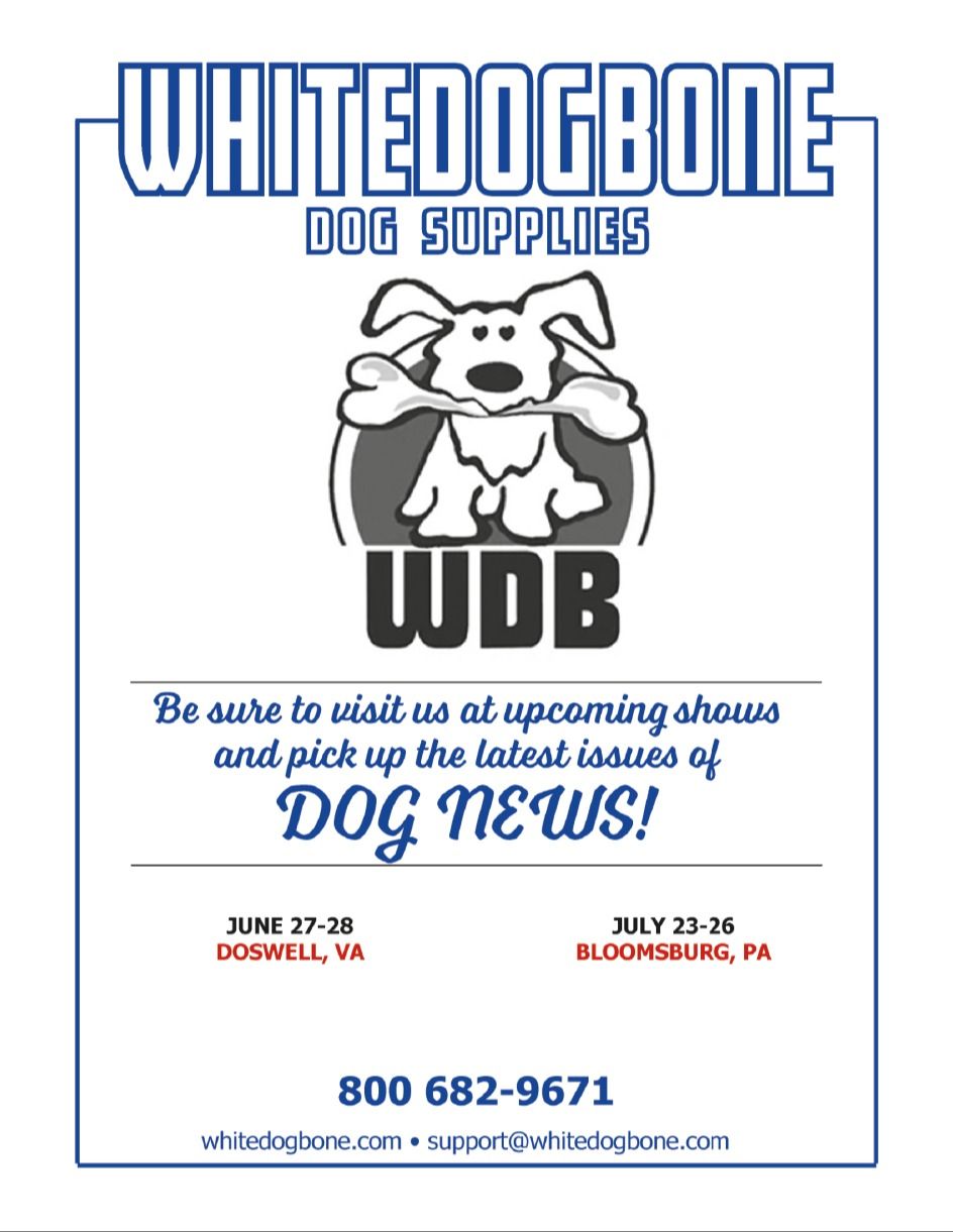White Dog Bone