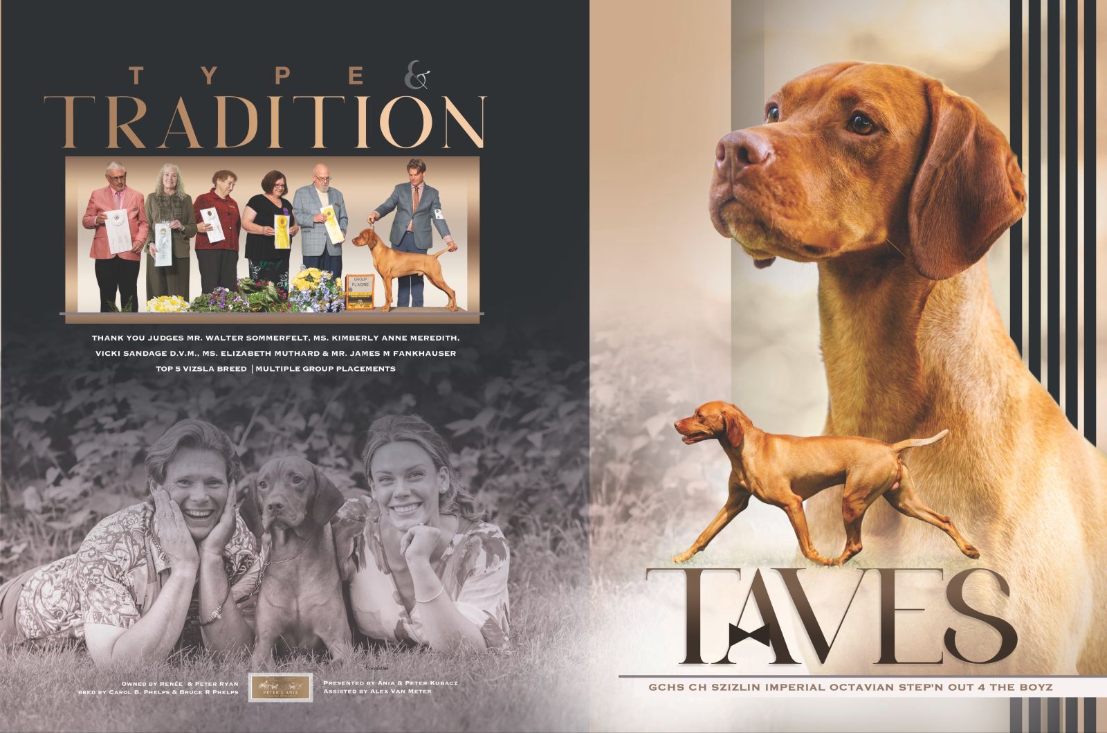 TAVES