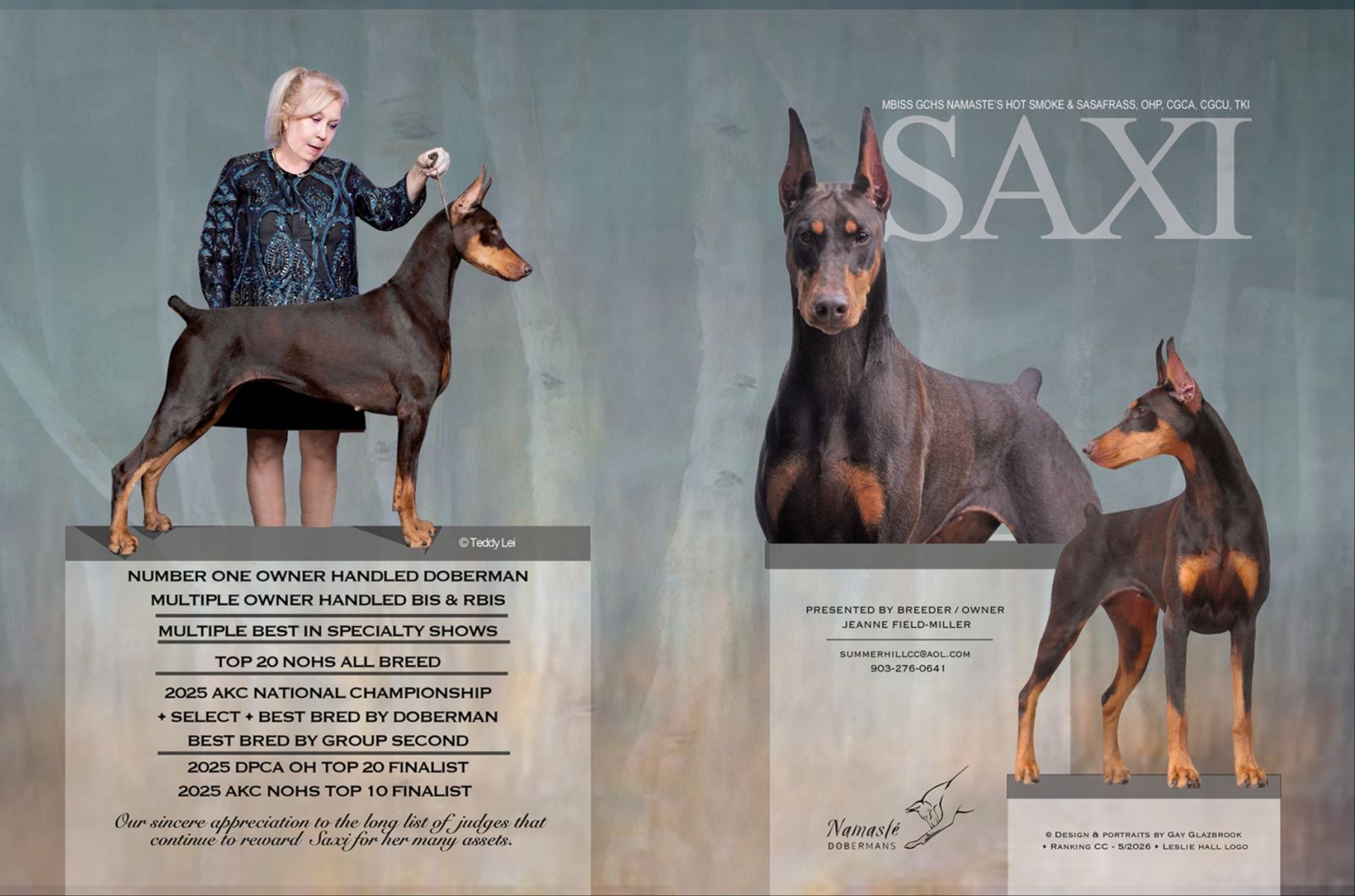 SAXI