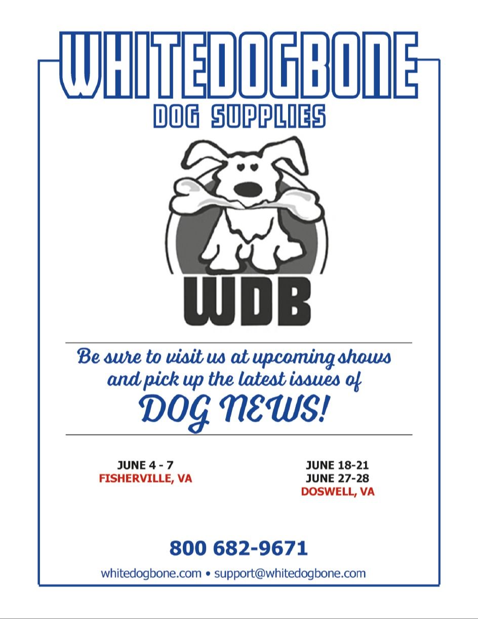 White Dog Bone