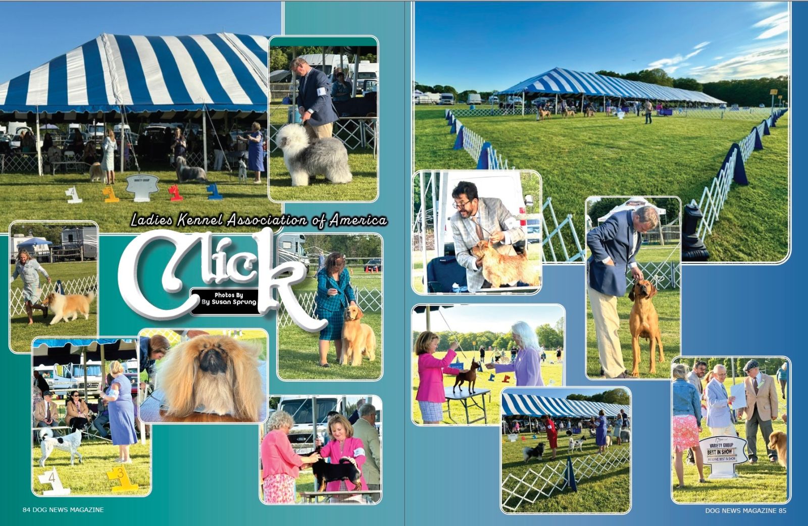 Click! Ladies Kennel Association of America