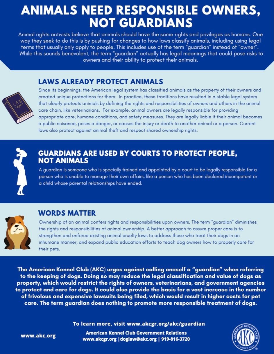 Editorial: April 3, 2026