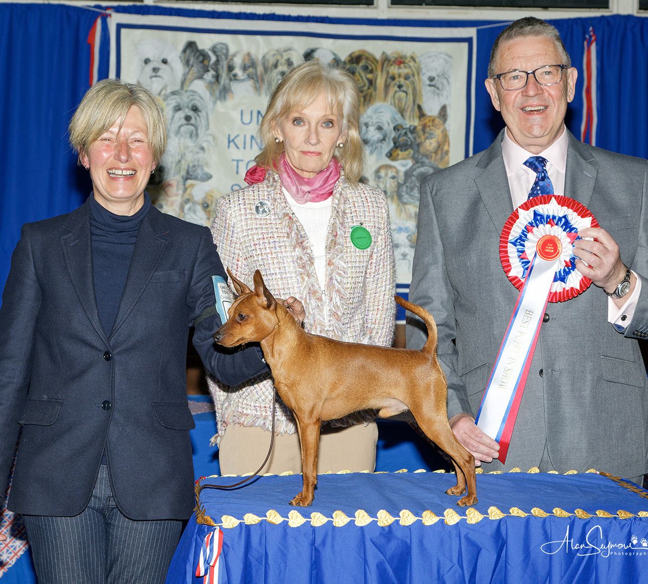 United Kingdom Toydog Society