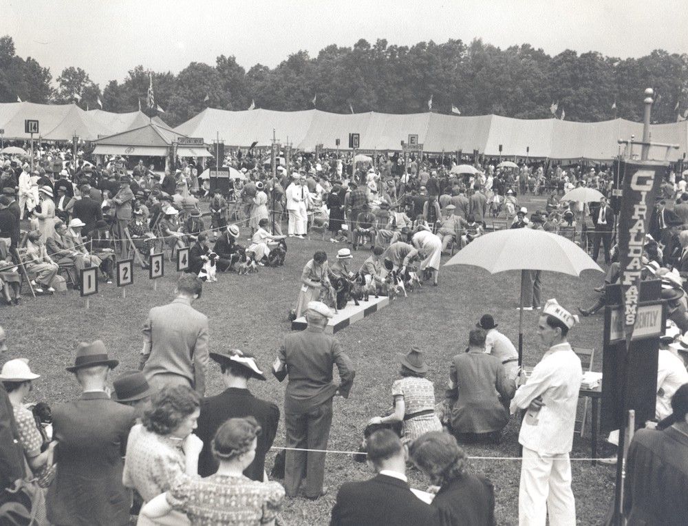 The Gossip Column, August 20, 2021