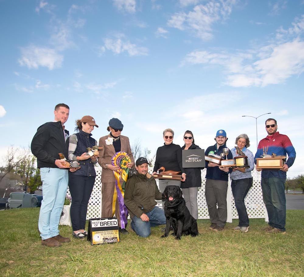 ‘The Greatest Lab Show in the World’