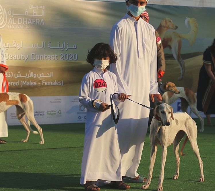 Shalom Salaam Saluki