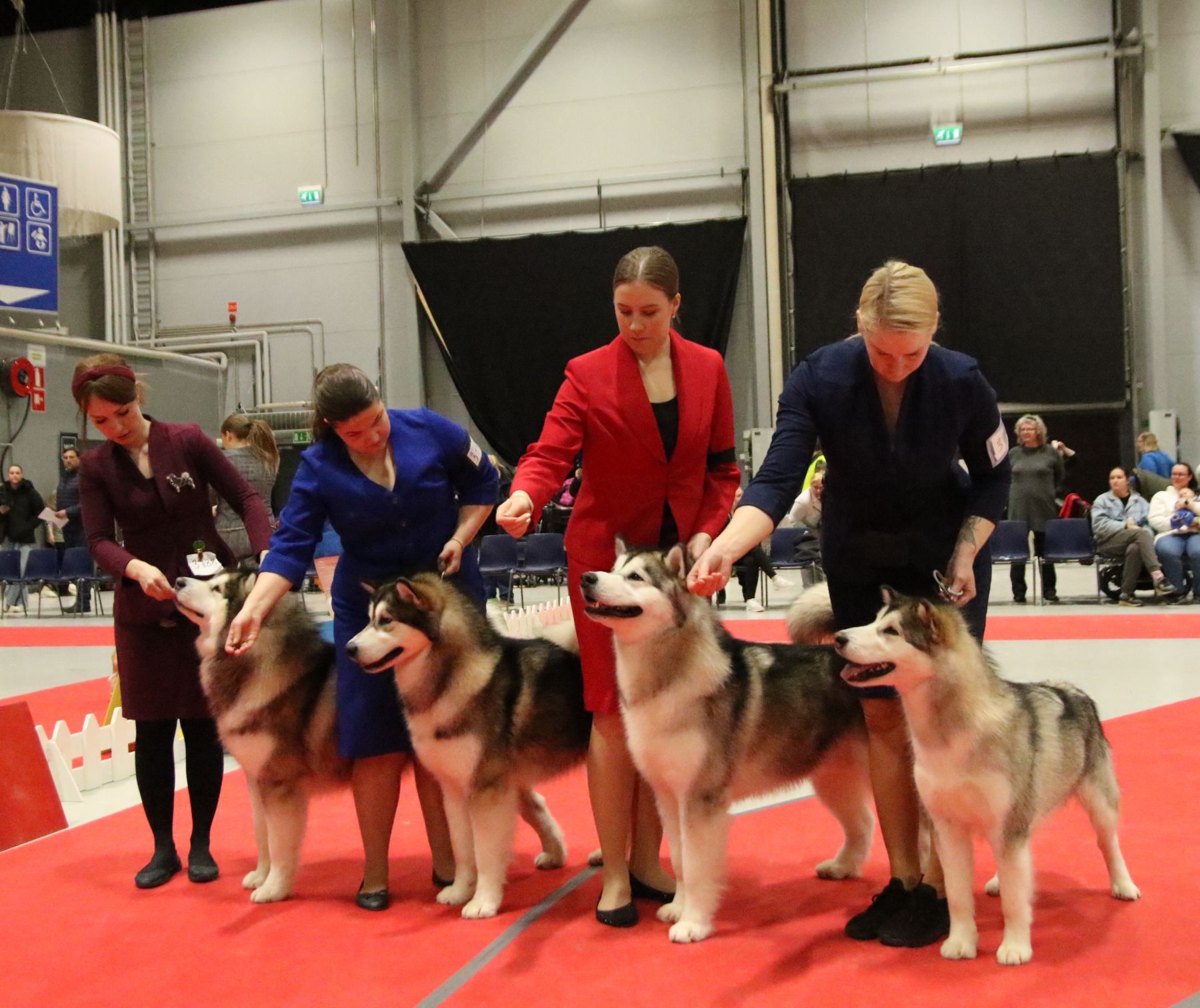 Postcard From Finland