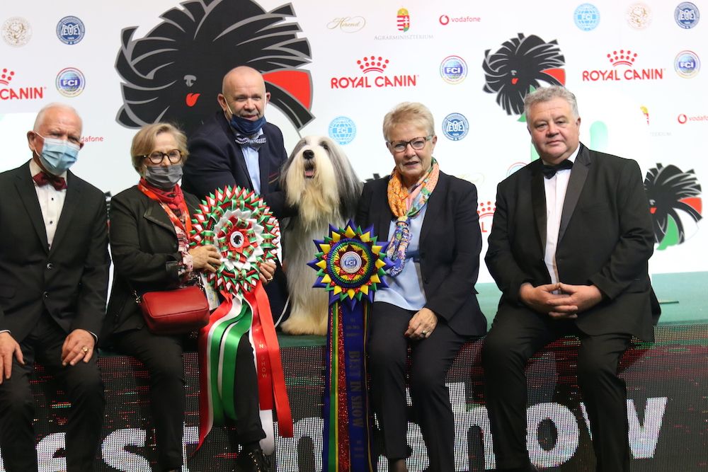 A Fantastic Way to End the Year