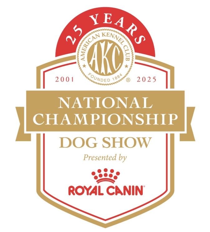 Editorial: November 28, 2025