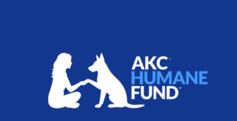 The Gossip Column: December 5, 2025