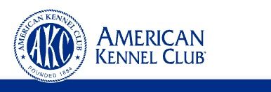 Editorial: December 12, 2025