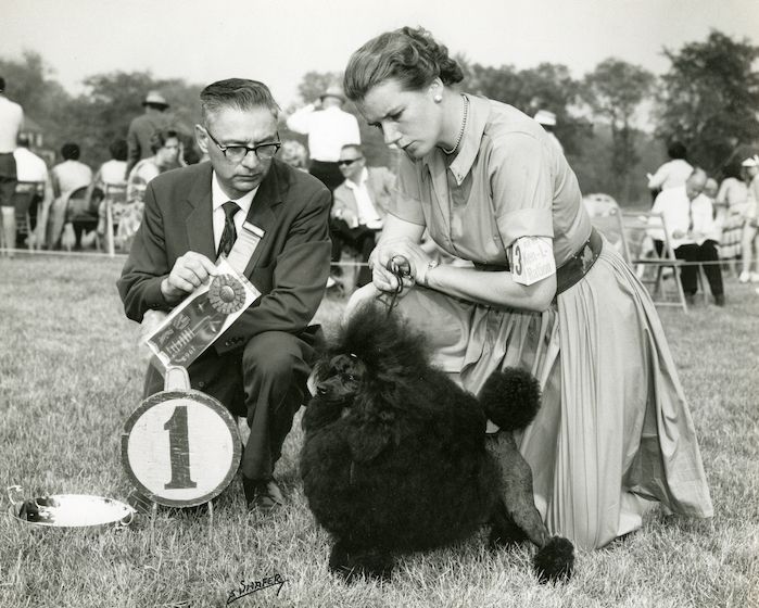 Question of the Week