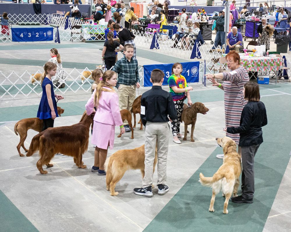 Barkaritaville, Medina Kennel Club, 2022