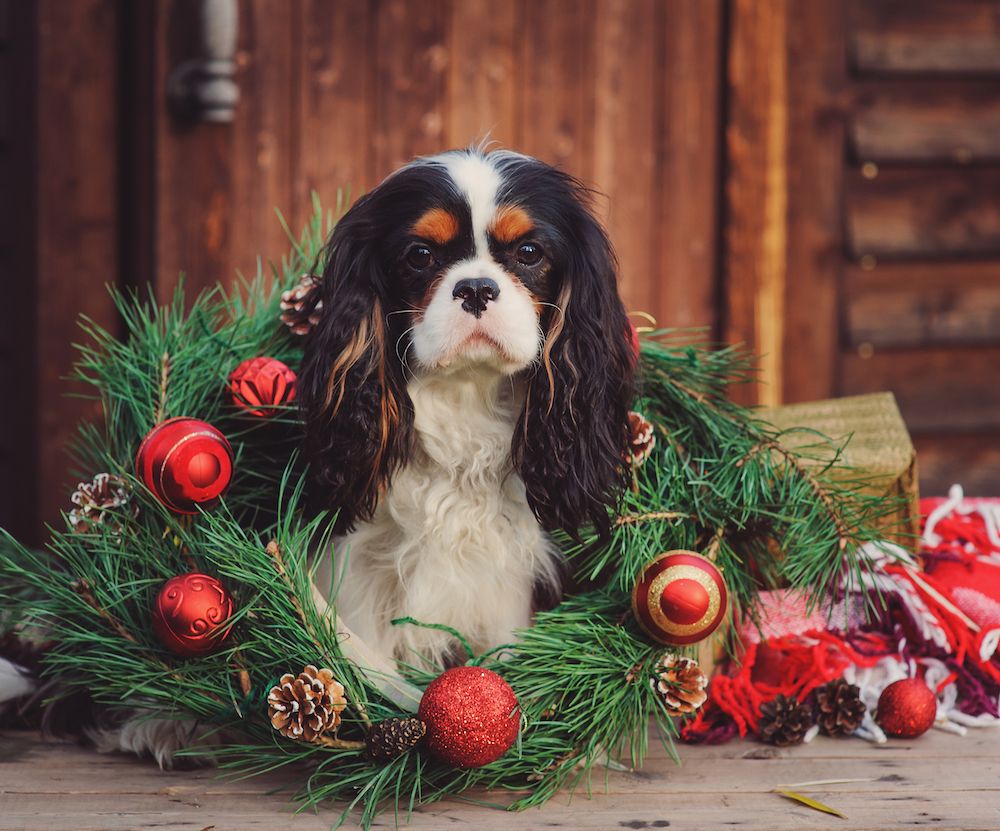 Editorial: December 11, 2020