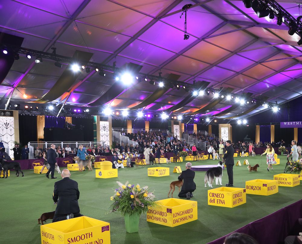 The Gossip Column, June 18, 2021