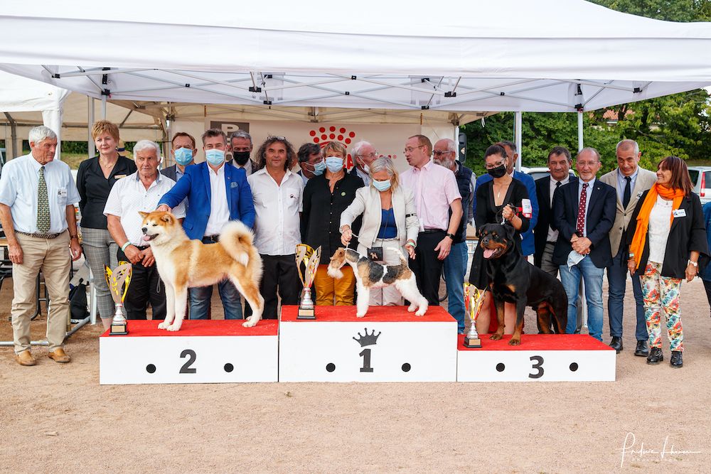 29th National All-Breed Dog Show, Châtel-Guyon, France