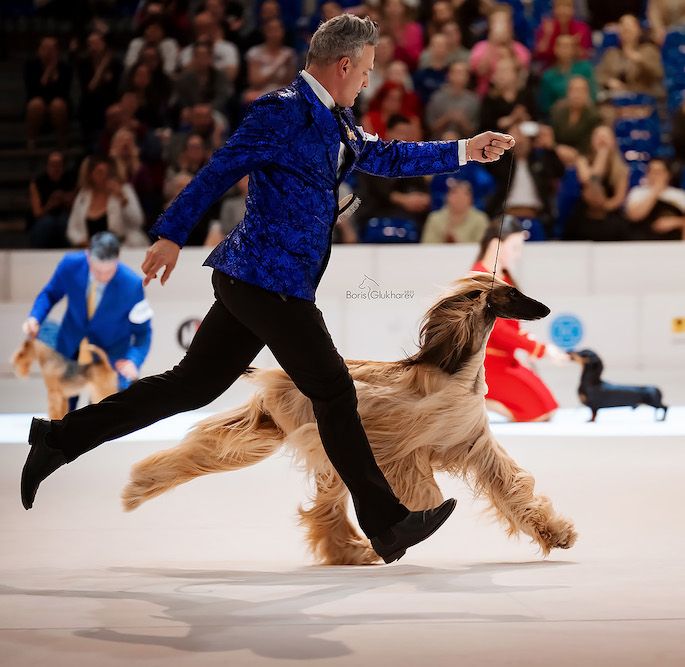 Zaida Does It Again!