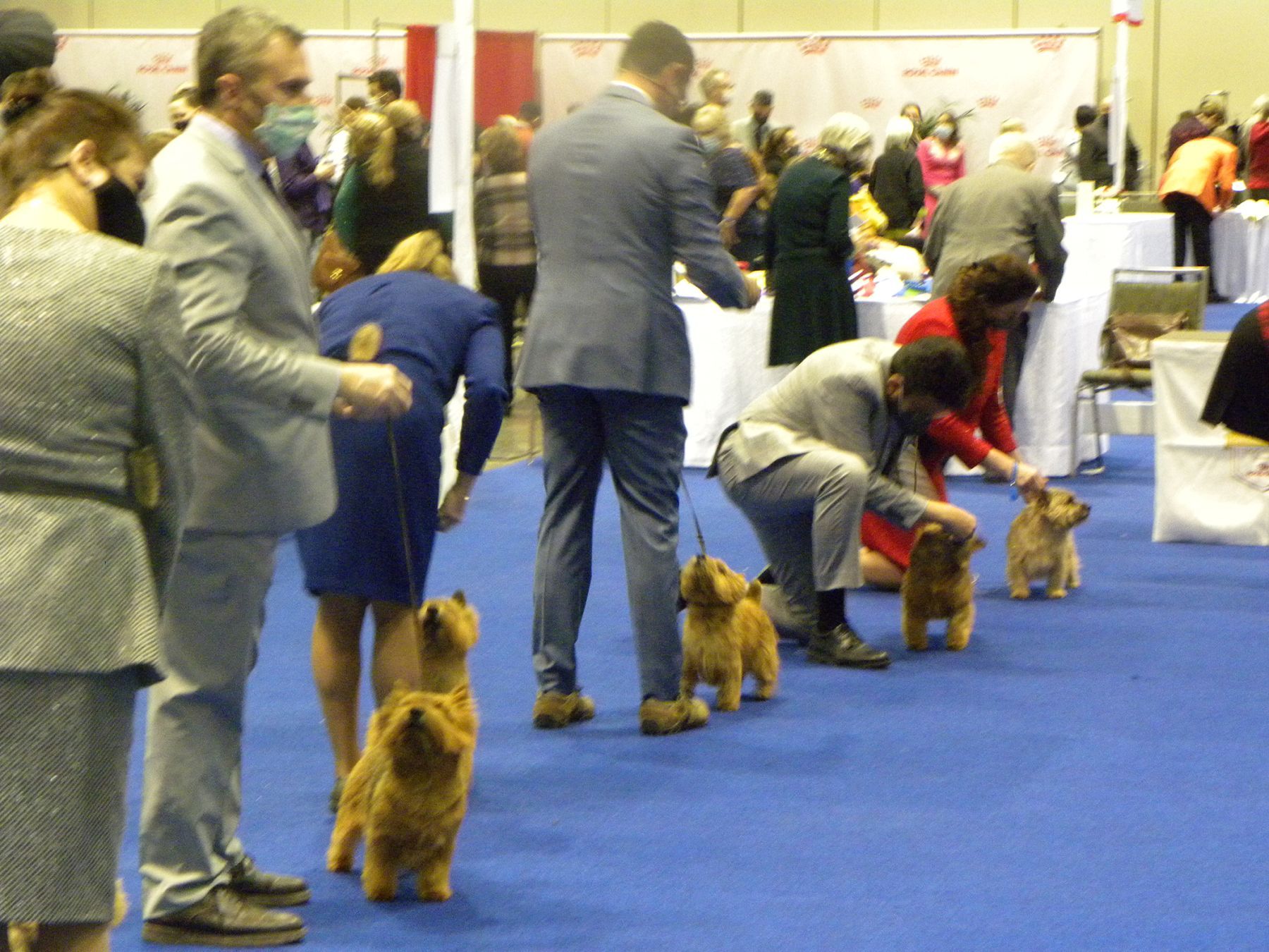 The Greatest Week in the Sport