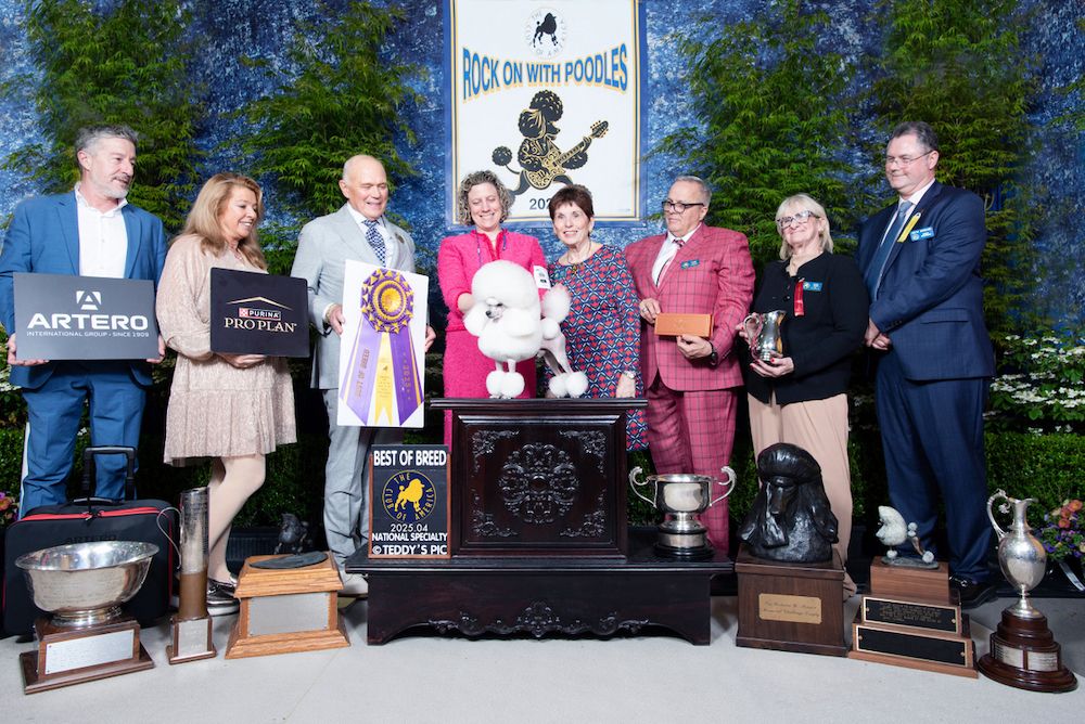 2025 Poodle Club of America