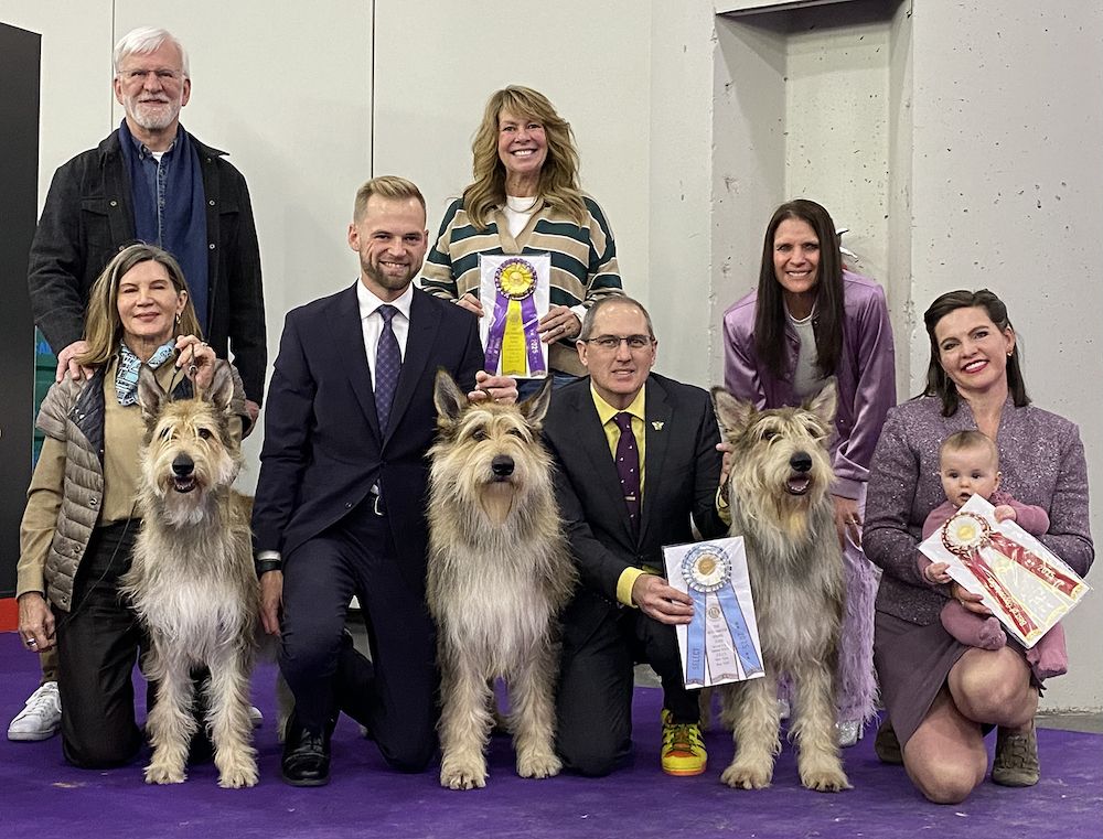 2025 Westminster Kennel Club