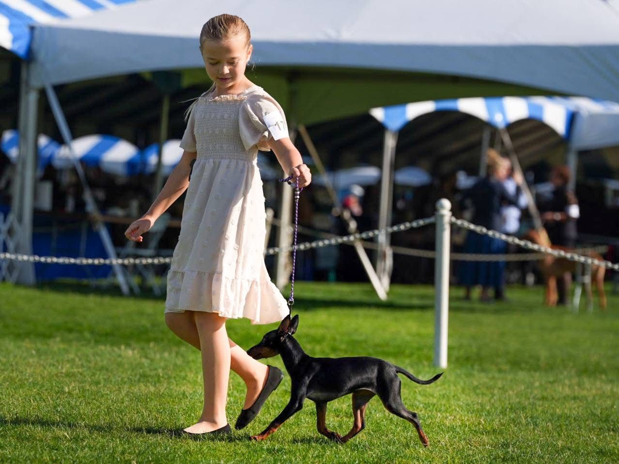 Editorial: January 23, 2026