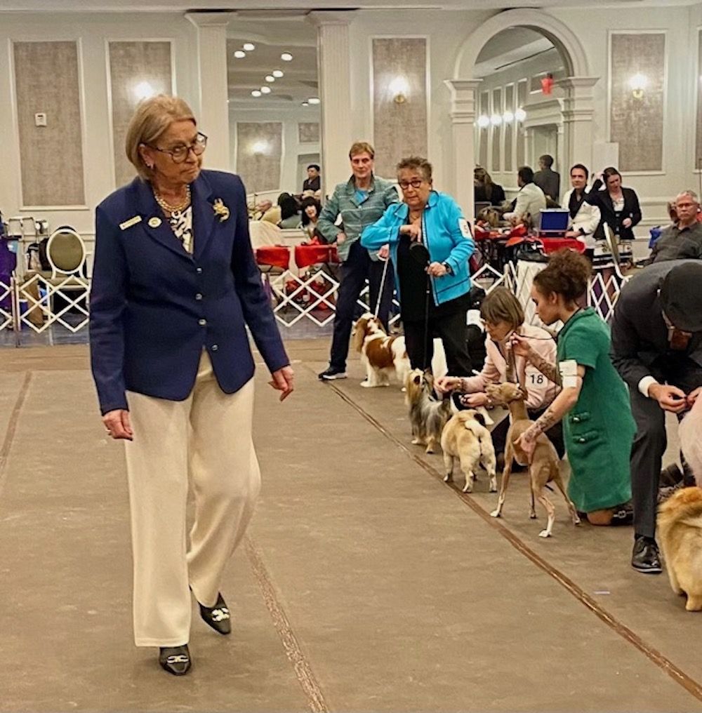 2024 Progressive Dog Club