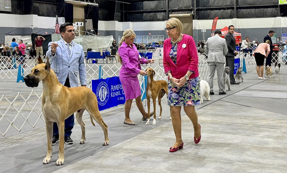 2025 South Florida Classic, Part 2