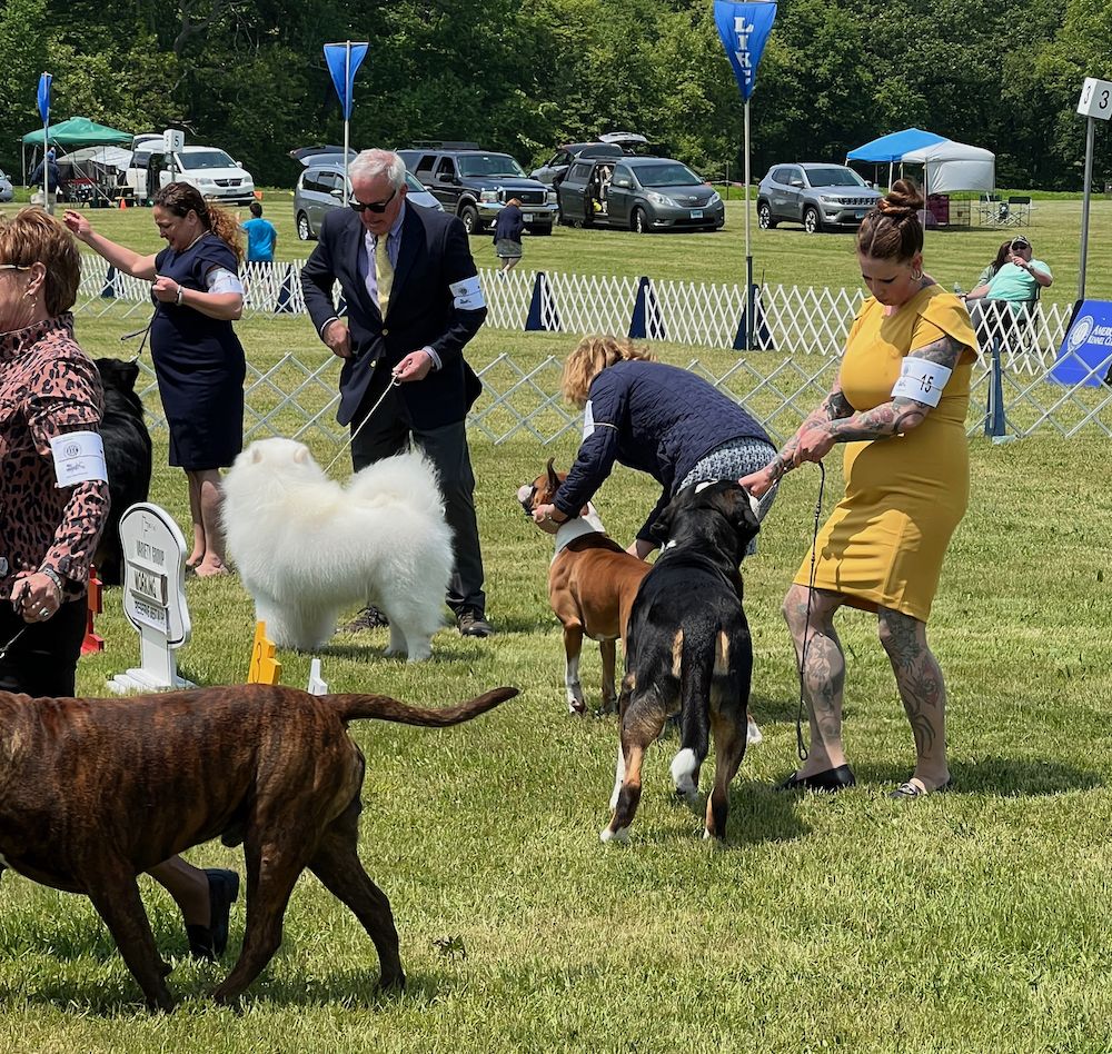 2023 Long Island Kennel Club