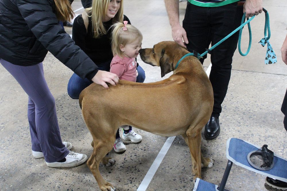 2024 Kennel Club of Philadelphia