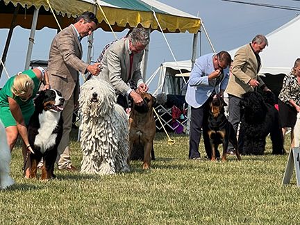 2023 Bryn Mawr Kennel Club