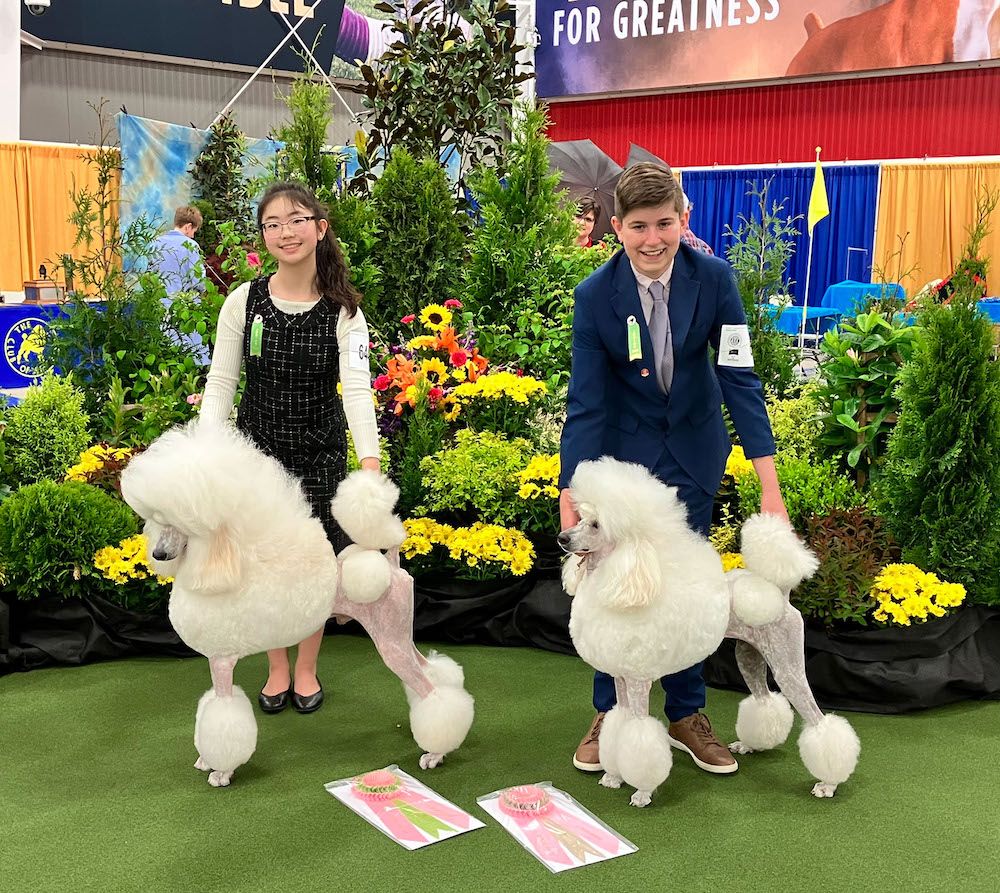 What is a Junior Coordinator?