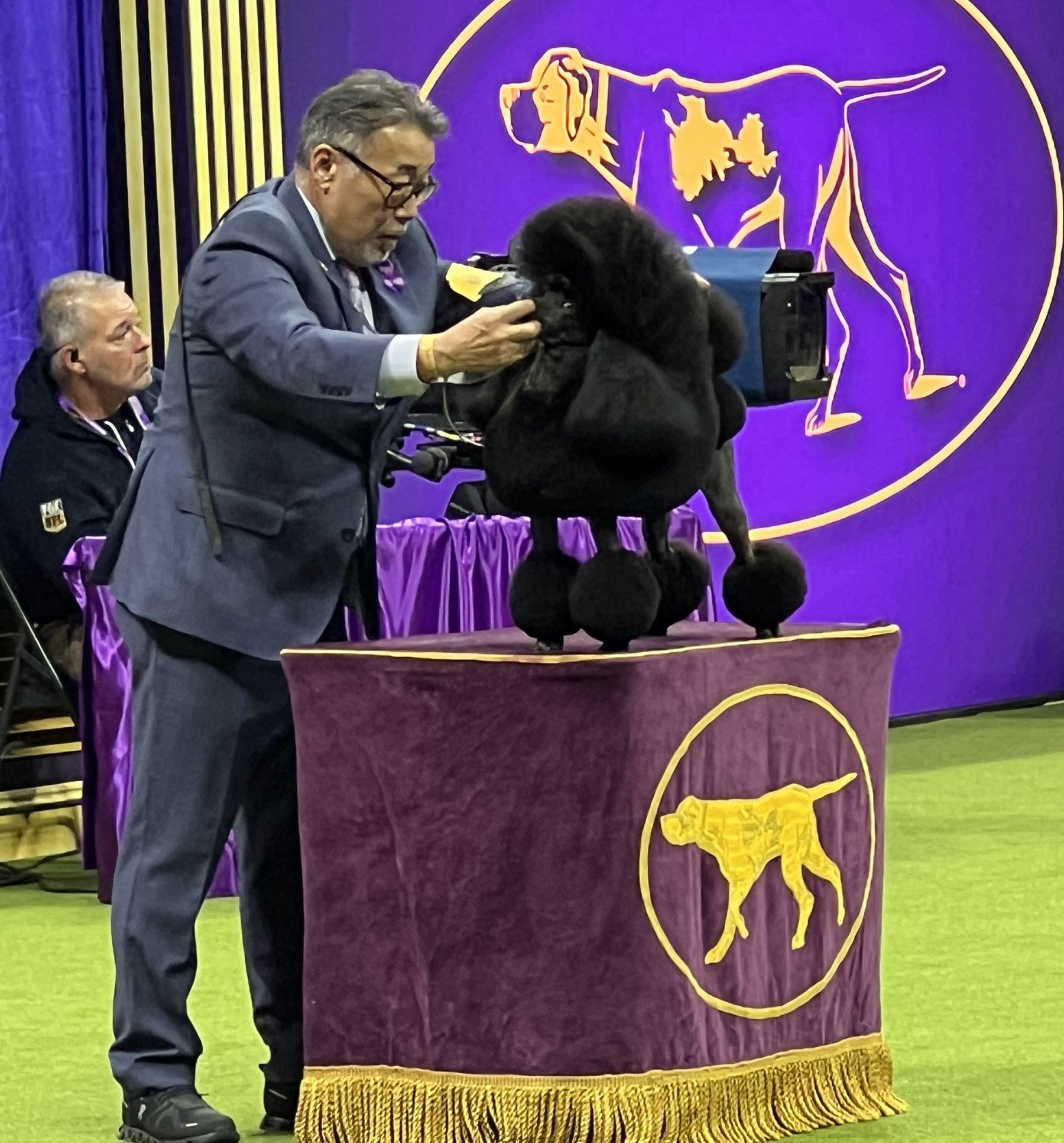 2024 Westminster Kennel Club