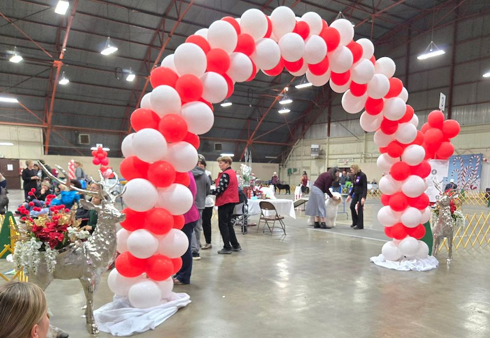 2024 Candy Cane Cluster