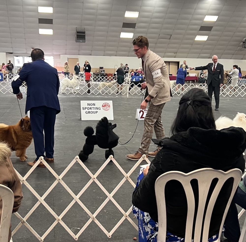 2025 San Fernando and Los Encinos Kennel Clubs
