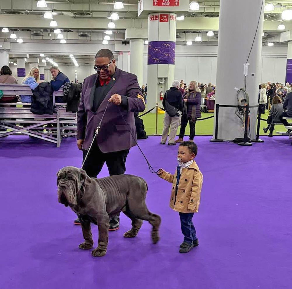 2025 Westminster Kennel Club