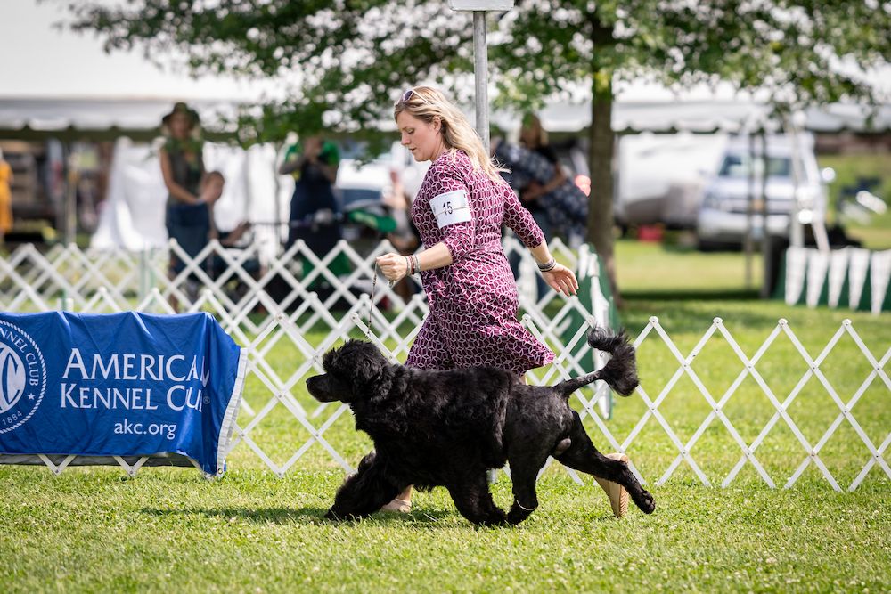 2024 Paws by the Sea Cluster