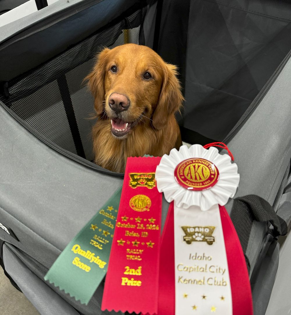 2024 Idaho Capital City Kennel Club