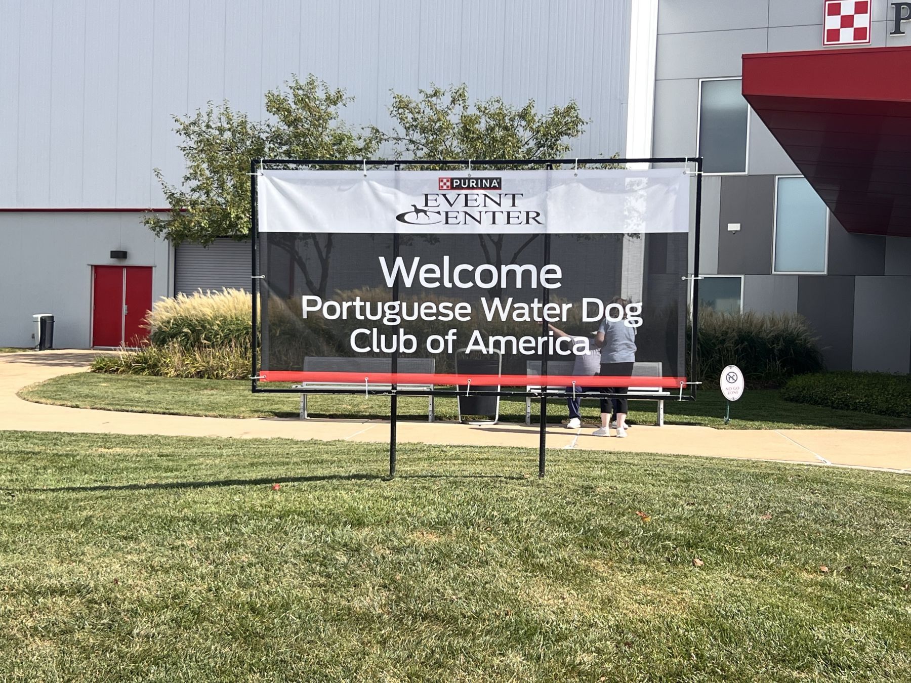 Show Me the  Water  Dogs