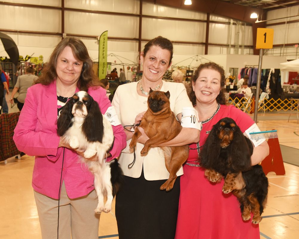 2025 South Hills and Mountaineer Kennel Clubs