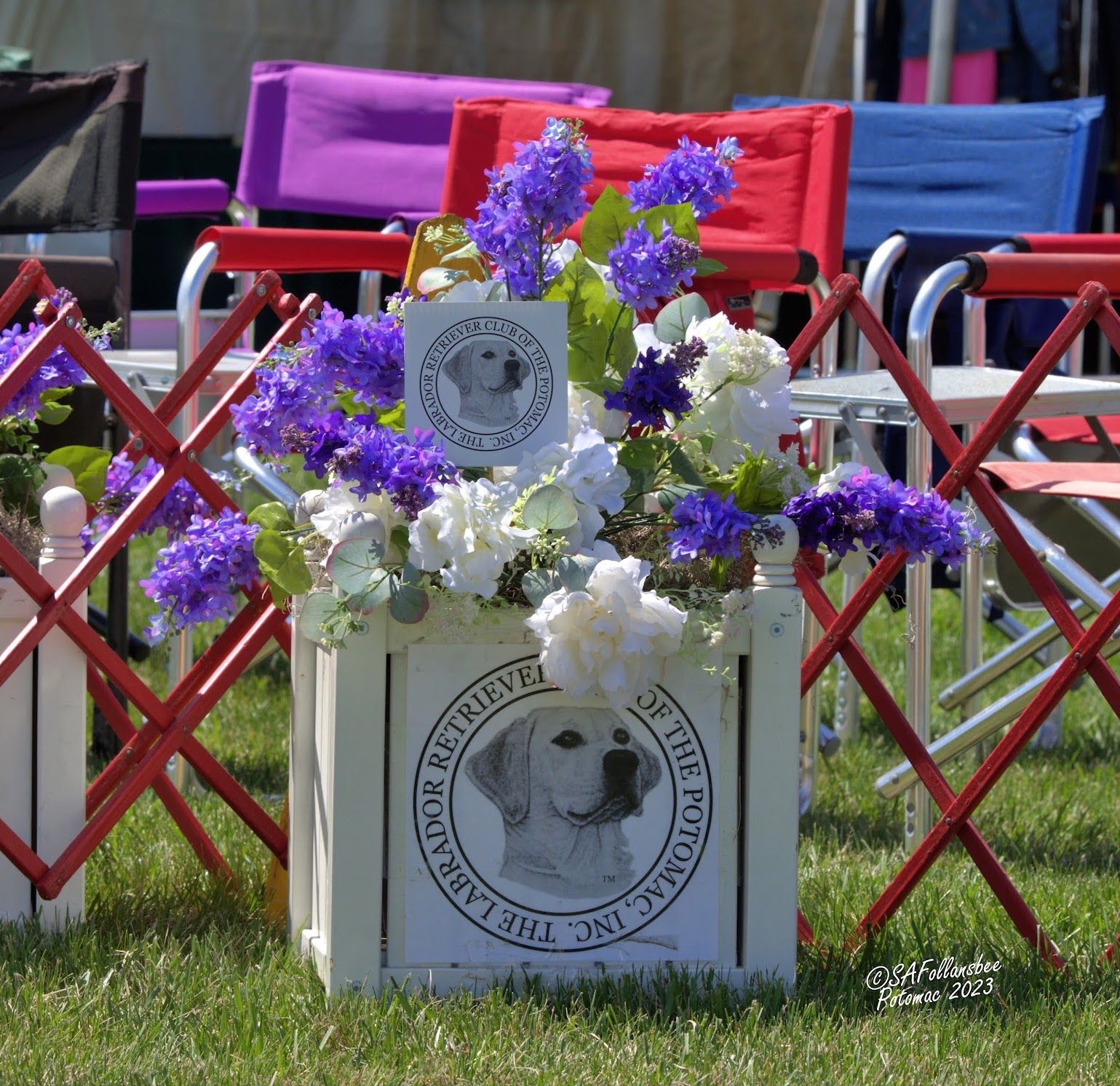 The Most Unique Show in the World