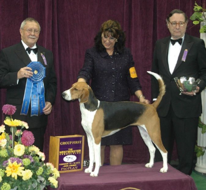 Luc Boileau passes away