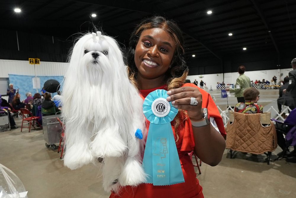 2025 Jackson Dog Fanciers and Tupelo Kennel Club