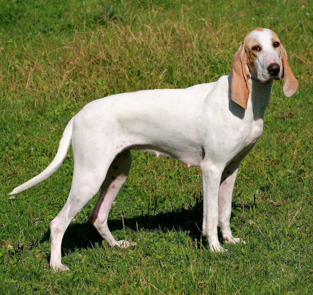 It’s Not Acceptable