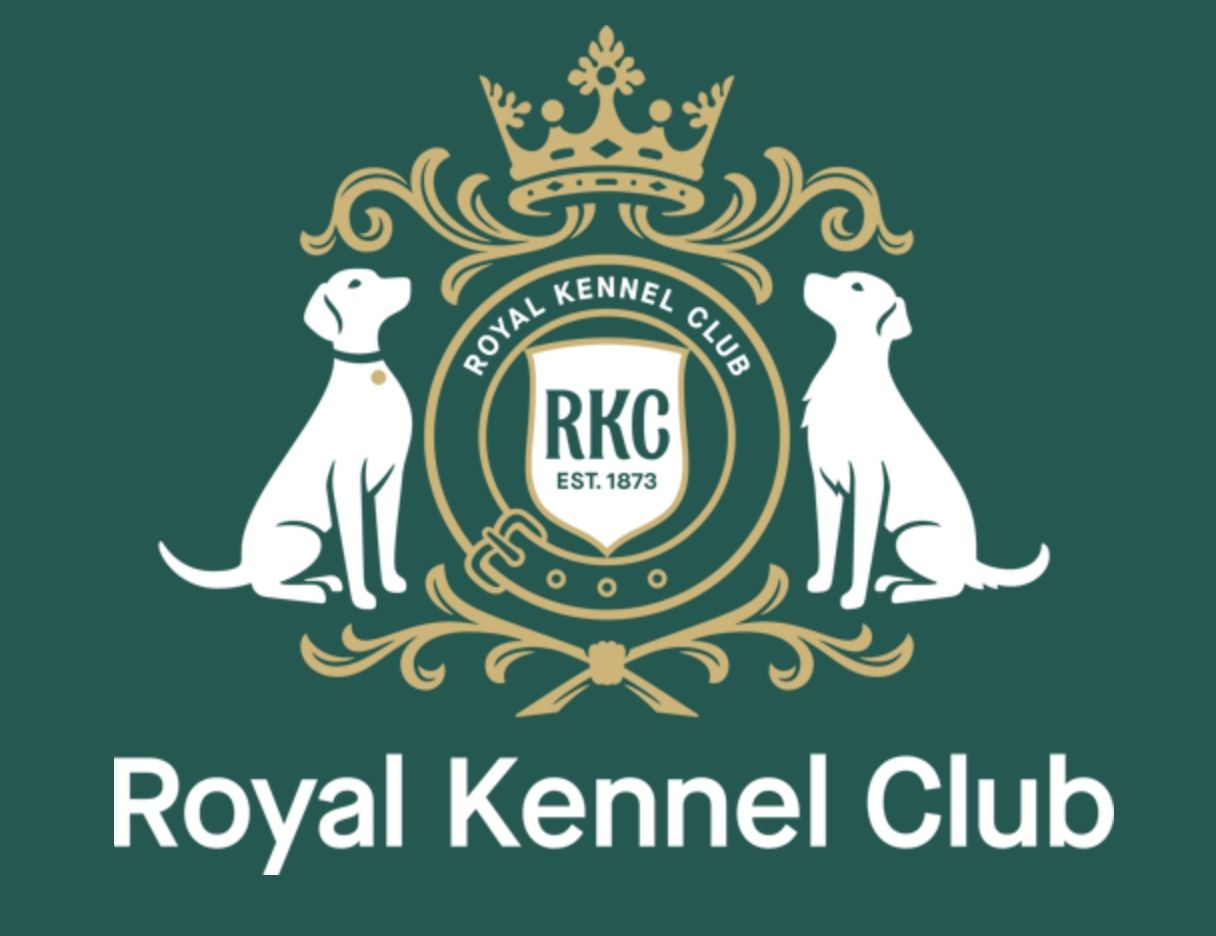 Editorial: December 5, 2025