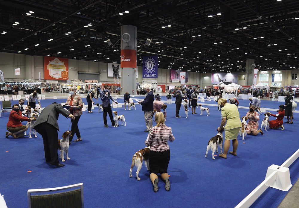 One for the Record Books