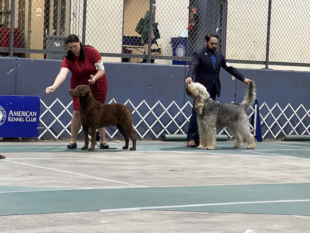 2024 Sugarbush Kennel Club
