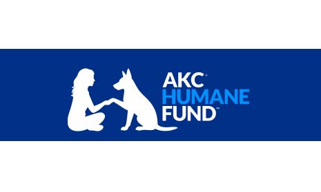 The Gossip Column: February 27, 2026