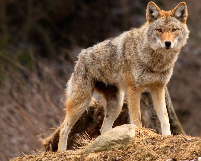 Question of the Week