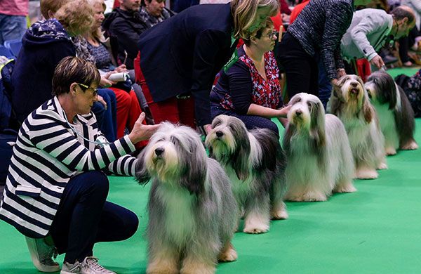 The Gossip Column: February 11, 2022