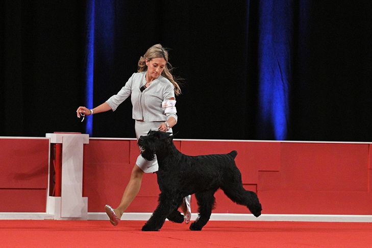 Editorial: January 3, 2025